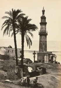 "Egito e Palestina": vista de Girgeh, Alto Egito de Francis Frith