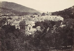 Floresta. de Francis Frith