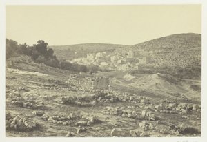 Vista em Hebron de Francis Frith