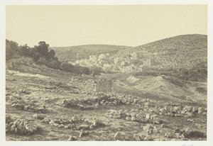 Floresta. de Francis Frith