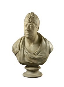 Busto de Thomas Johnes de Hafod, MP, FRS, 1811 (gesso)