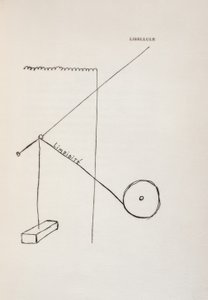 Libélula de Francis Picabia