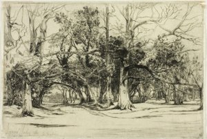 Uma estrada secundária em Tipperary de Francis Seymour Haden
