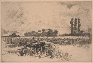 Um prado aquático (gravura e ponto seco) de Francis Seymour Haden