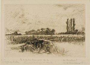Um Prado de Água de Francis Seymour Haden