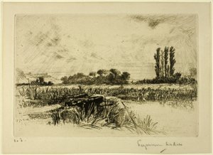 Um Prado de Água de Francis Seymour Haden