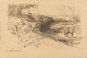 Encombe Woods (Nº 1) de Francis Seymour Haden