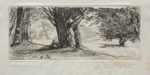 Campo de azevinho de Francis Seymour Haden