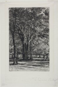 Kensington Gardens, No. II (placa grande)