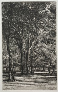 Jardins de Kensington a grande placa, 1860. de Francis Seymour Haden
