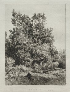 Paisagem de Francis Seymour Haden