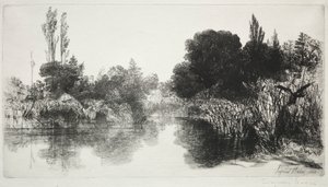 Shere Mill Pond, No. 11 (O Prato Grande) de Francis Seymour Haden
