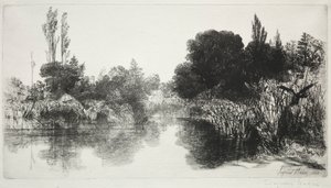 Lagoa do moinho de Shere, no. 11 A placa grande, 1860 e mais tarde.