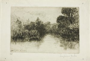 Shere Mill Pond, No. I (prato pequeno) de Francis Seymour Haden