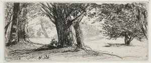 Holly Field. de Francis Seymour Haden