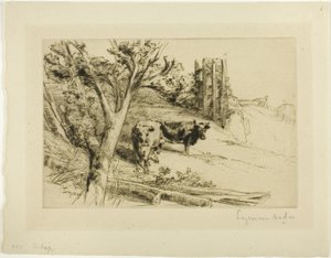 A Fortaleza de Francis Seymour Haden