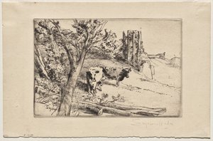 A Fortaleza de Francis Seymour Haden