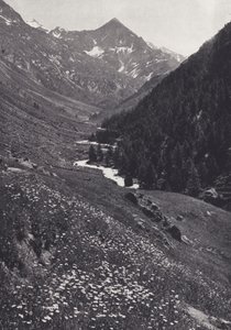 Alpes Orientais: No Windach Tal (foto a p/b)
