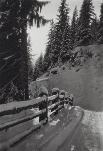 Os Alpes: Manhã de Inverno, perto de St Anton (foto p/b)