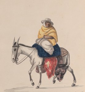 Um açougueiro montado num burro, a partir de um grupo de desenhos representando o traje peruano, ca. 1848.