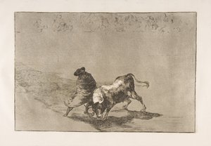 Ilustração 14 da Tauromaquia: O estudante muito habilidoso de Falces, embrulhado em sua capa ..., 1816. de Francisco de Goya