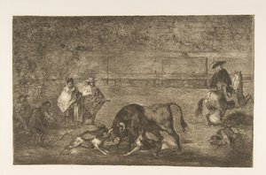 Ilustração C: Os cães se soltam no touro. 1816 de Francisco de Goya