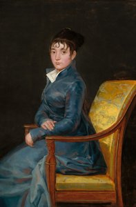 Teresa Luísa de Sureda de Francisco de Goya