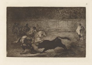 Um cavaleiro espanhol esmagando de Francisco de Goya