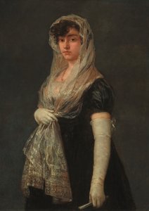 Jovem senhora vestindo uma mantilha e Basquina, c. 18001805. de Francisco de Goya