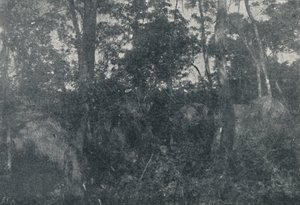 Cabanas de Índios, 1895