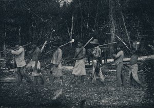 Indios Guaranys, voltando de uma caþada, 1895