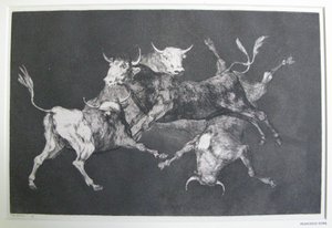 Disparate de tontos (Loucura de tolo) de Francisco Jose de Goya y Lucientes