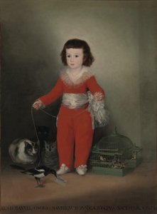 Dom Manuel Osorio Manrique de Zuniga (1784-92) de Francisco de Goya