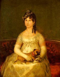 Retrato de Dona Francisca Vicenta Chollet e Caballero, sentada, três quartos, com um cão de colo, 1806