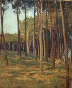 O PINAR VERMELHO de Francisco Llorens Diaz