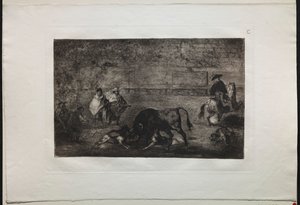 Touradas: O cão solto no touro de Francisco de Goya