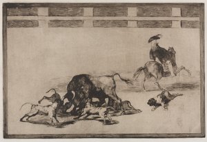 Touradas: eles soltam cães no touro de Francisco de Goya