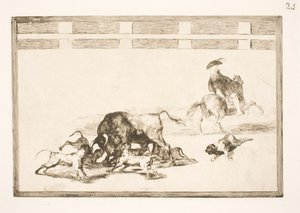 Eles polir os cães no touro de Francisco de Goya
