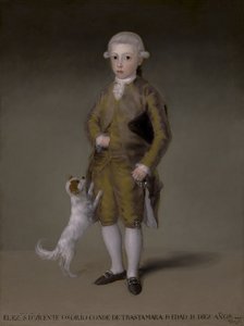 Dom Vicente Isabel Osório de Moscoso e Álvarez de Toledo, Conde de Trastámara, c.1787-88 de Francisco de Goya