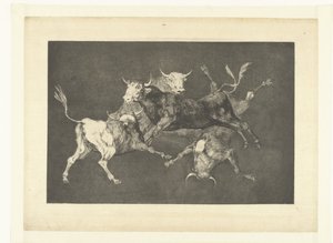 A idiotice dos pequenos touros
Disparate de tontos
Los Disparates (As loucuras) (título da série)
Los Proverbios (Os Provérbios) (título da série) de Francisco de Goya