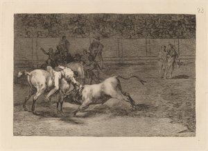 Mariano Ceballos, aliás o índio, mata o touro de seu cavalo (Mariano Ceballos, aliás o índio, mata o touro de seu cavalo) de Francisco de Goya