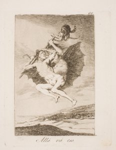 É assim que funciona de Francisco de Goya