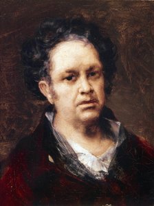 Auto-Retrato 69 Anos (óleo sobre tela de Francisco de Goya