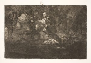 Nosso Senhor os cria, e eles terminam em bela união / Pássaros da mesma pena voam em bandos de Francisco de Goya