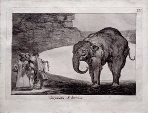Folly animal de Francisco de Goya