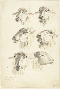 Folha de estudo com seis cabeças de ovelha de Franciscus Andreas Milatz (attributed to)