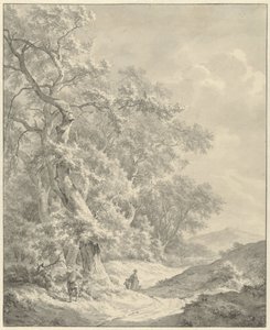Paisagem com caminhantes no caminho ao longo da floresta