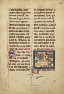 Um ouriço de um bestiário Sra. Ludwig XV 4, fol. 82, c.1280-1300 (têmpera, caneta e tinta, folha de ouro e tinta em pergaminho) de Franco Flemish School