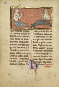 Uma sereia e um centauro de um bestiário Sra. Ludwig XV 4, fol. 81v, c.1280-1300 (têmpera, caneta e tinta, folha de ouro e tinta em pergaminho)
