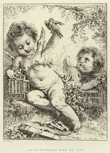 A Pomba Enjaulada (gravura) de Francois (after) Boucher